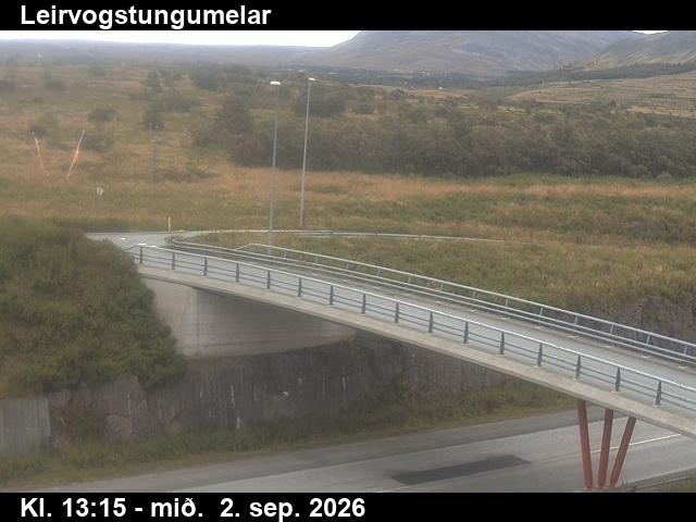 leirvogstungumelar_3-1788362744.jpg