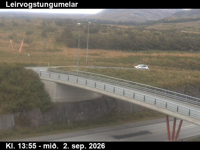 leirvogstungumelar_3-1788364857.jpg