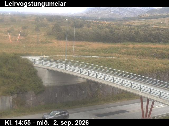 leirvogstungumelar_3-1788368436.jpg