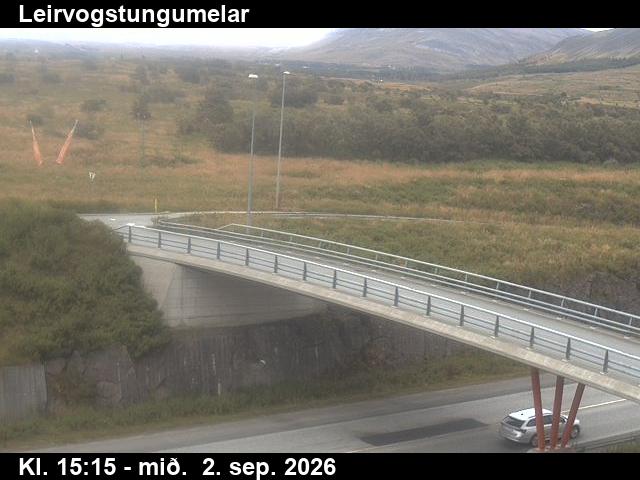 leirvogstungumelar_3-1788369932.jpg