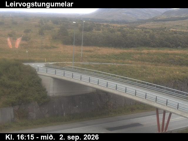 leirvogstungumelar_3-1788373531.jpg