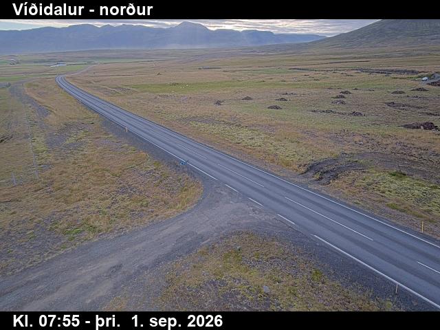 vididalur_1-1788256873.jpg