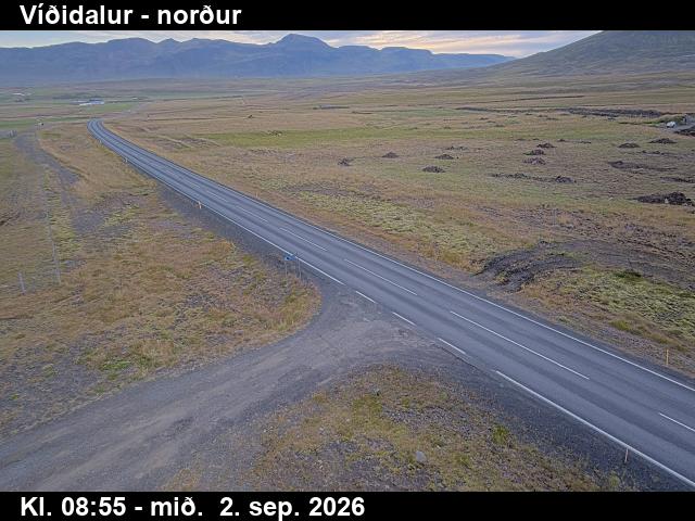 vididalur_1-1788346900.jpg
