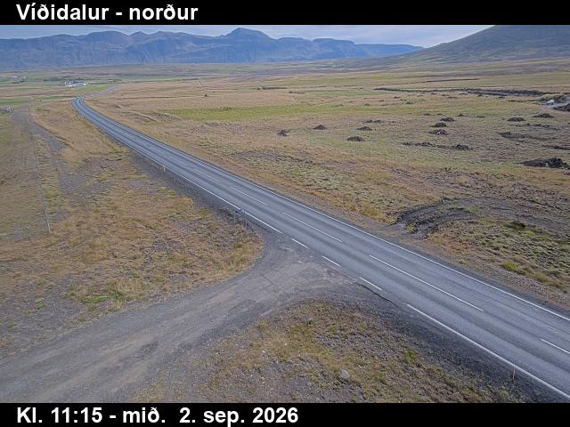 vididalur_1-1788355524.jpg