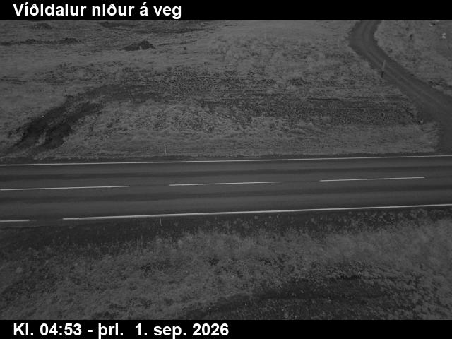 vididalur_2-1788246066.jpg