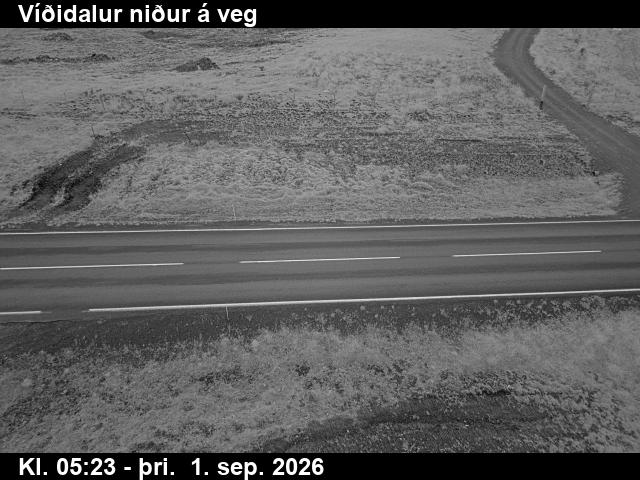 vididalur_2-1788247532.jpg