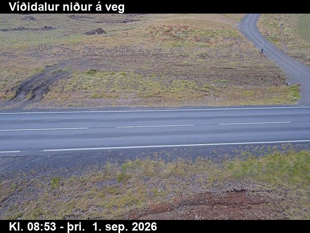 vididalur_2-1788260555.jpg