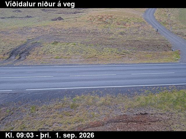 vididalur_2-1788260762.jpg