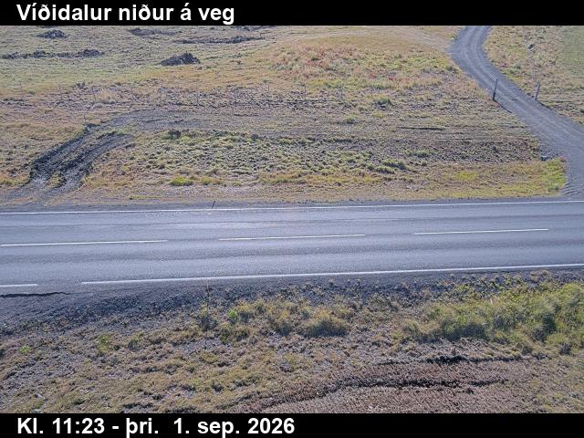 vididalur_2-1788269122.jpg