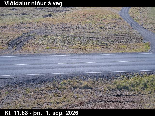 vididalur_2-1788271226.jpg