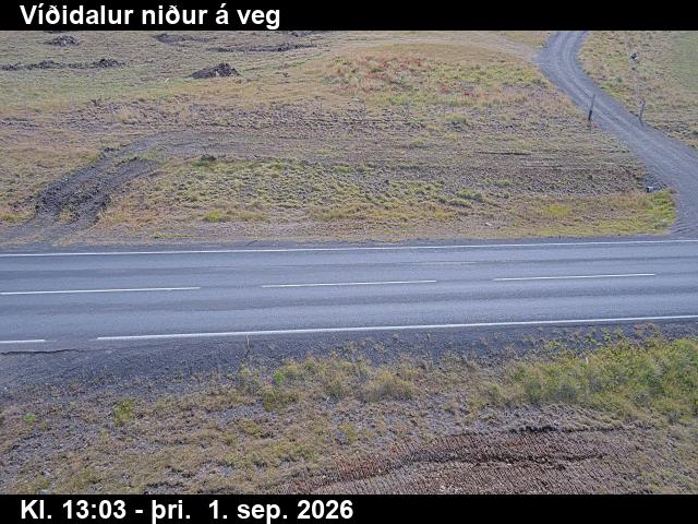 vididalur_2-1788275167.jpg