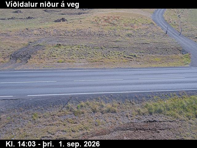 vididalur_2-1788278755.jpg