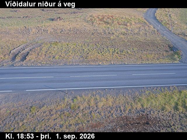 vididalur_2-1788296435.jpg
