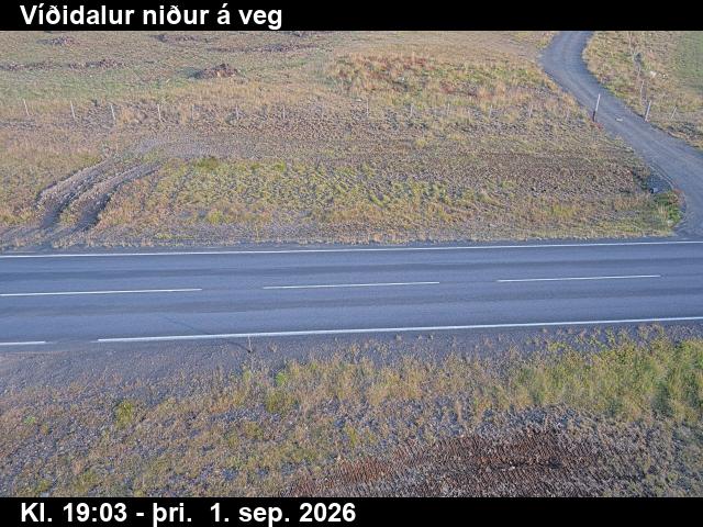 vididalur_2-1788296752.jpg