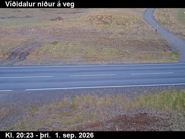 vididalur_2-1788301549.jpg