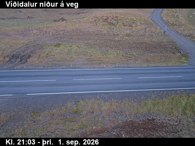 vididalur_2-1788303930.jpg