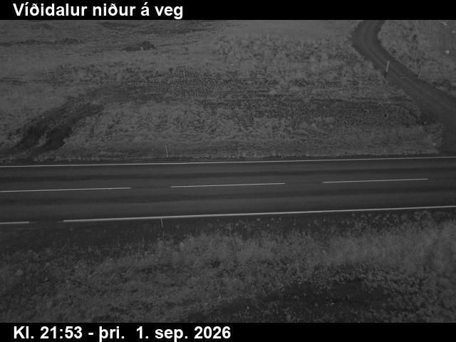 vididalur_2-1788307263.jpg