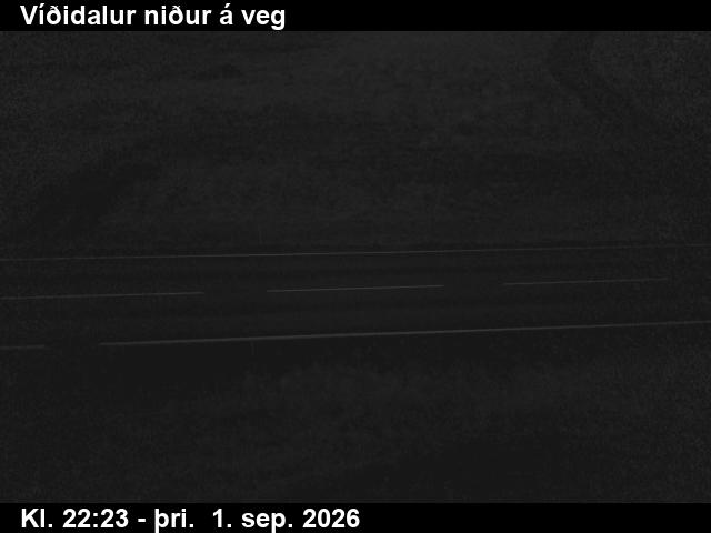 vididalur_2-1788308735.jpg