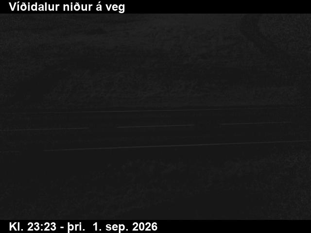 vididalur_2-1788312321.jpg