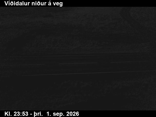vididalur_2-1788314452.jpg