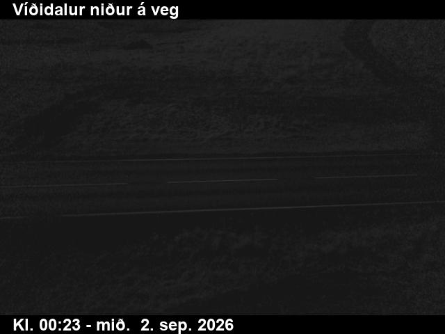 vididalur_2-1788315994.jpg