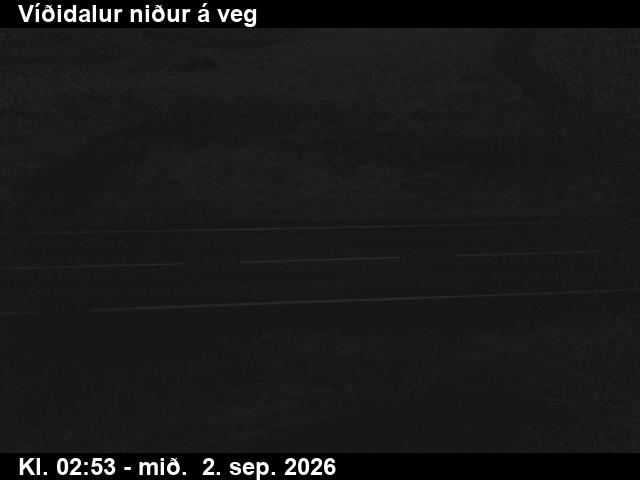 vididalur_2-1788325284.jpg