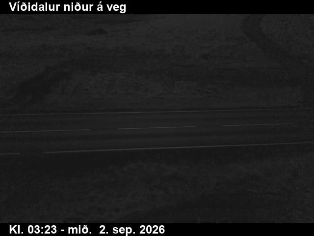 vididalur_2-1788326759.jpg