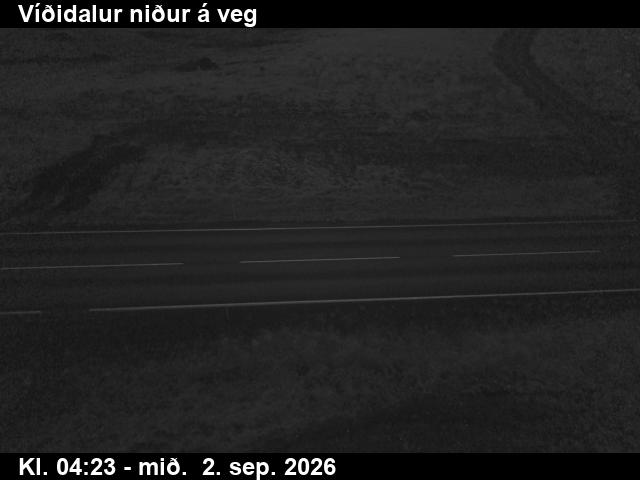 vididalur_2-1788330360.jpg