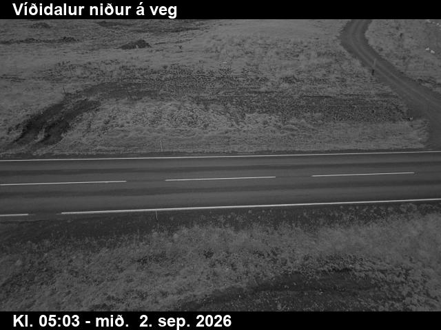 vididalur_2-1788332775.jpg