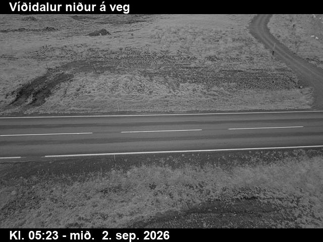 vididalur_2-1788333930.jpg