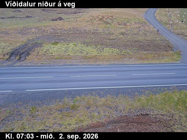 vididalur_2-1788339972.jpg