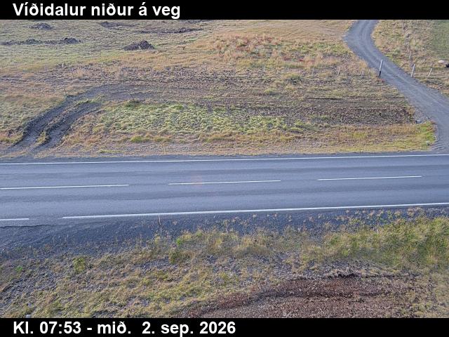 vididalur_2-1788343254.jpg