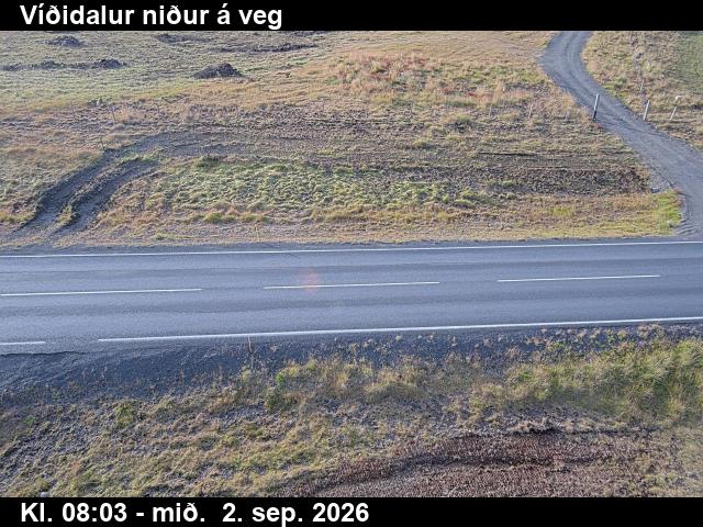 vididalur_2-1788343601.jpg