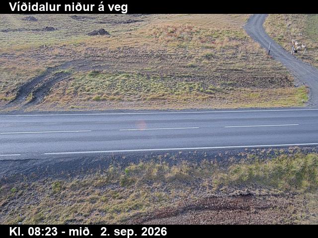 vididalur_2-1788344762.jpg