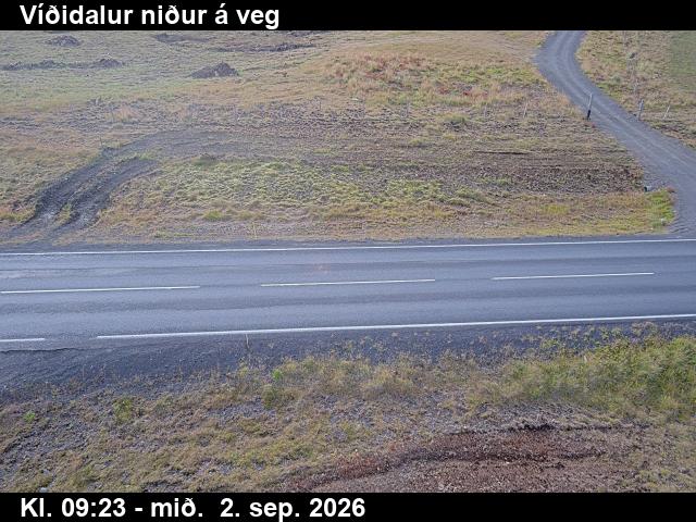 vididalur_2-1788348329.jpg
