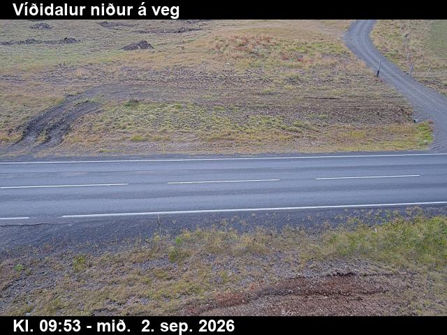 vididalur_2-1788350468.jpg