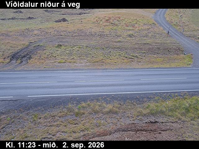 vididalur_2-1788355524.jpg