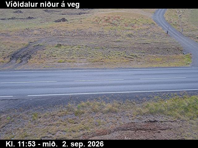 vididalur_2-1788357662.jpg