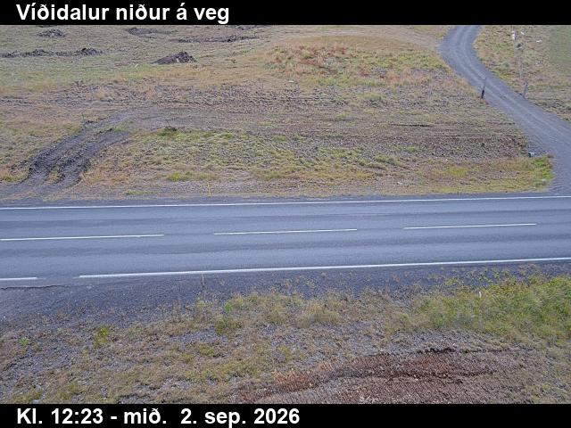 vididalur_2-1788359135.jpg