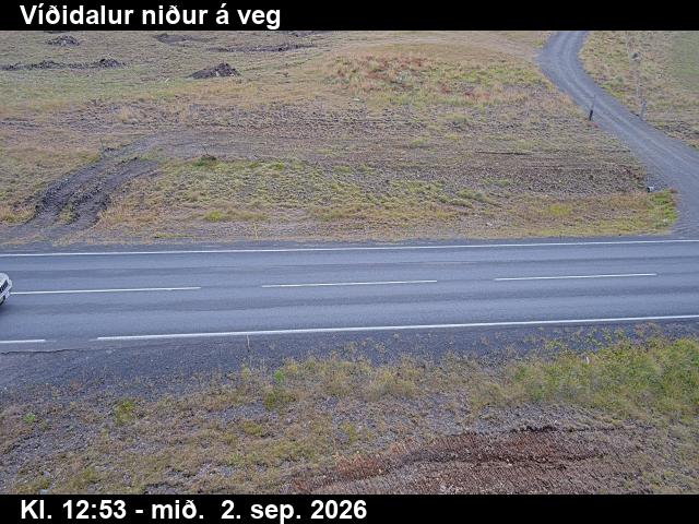 vididalur_2-1788361300.jpg
