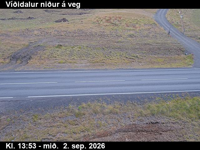 vididalur_2-1788364857.jpg