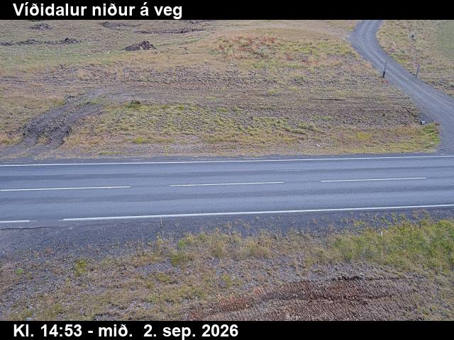 vididalur_2-1788368437.jpg