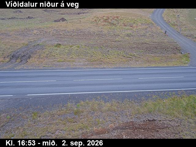 vididalur_2-1788375654.jpg