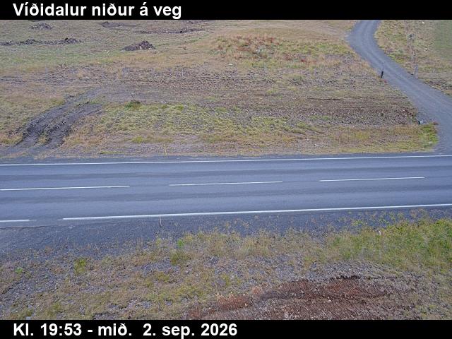 vididalur_2-1788386515.jpg