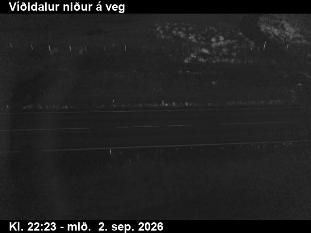 vididalur_2-1788395178.jpg