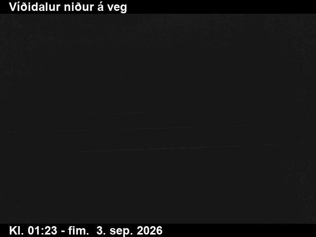vididalur_2-1788405973.jpg