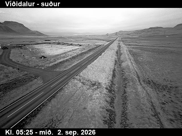vididalur_3-1788333930.jpg