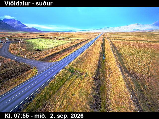 vididalur_3-1788343255.jpg