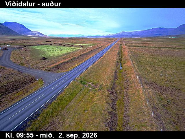 vididalur_3-1788350500.jpg