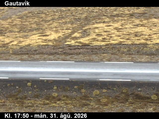 gautavik_2-1788206504.jpg